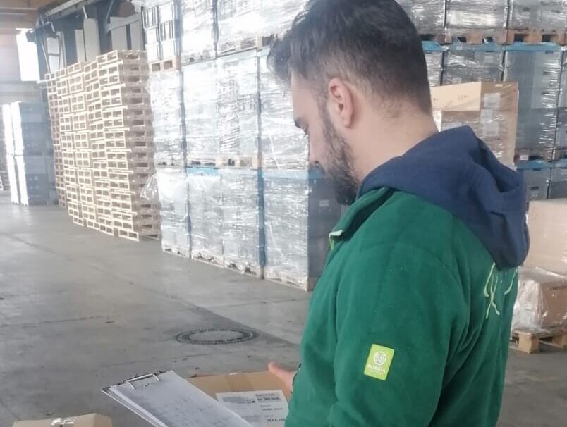 Ausbildung & Karriere